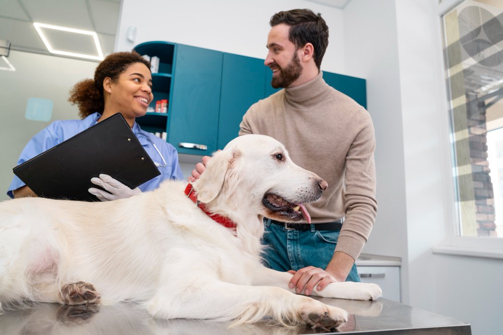 Veterinary consultation service